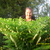 30626-thumb5