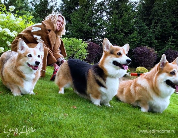 Искренность — залог успеха? Как проходят звездные съемки и интервью | Мне это нравится! #50 