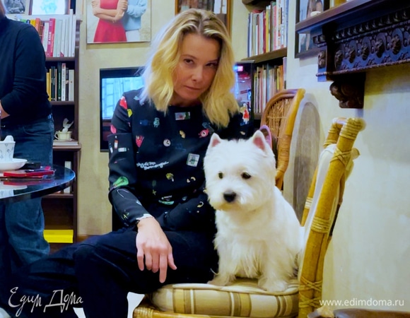 Коты или собаки? Все о жизни с любимыми питомцами | Мне это нравится! #131