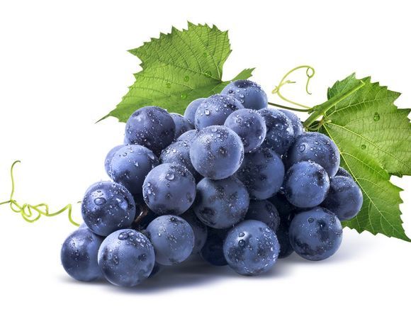 Виноград синий
