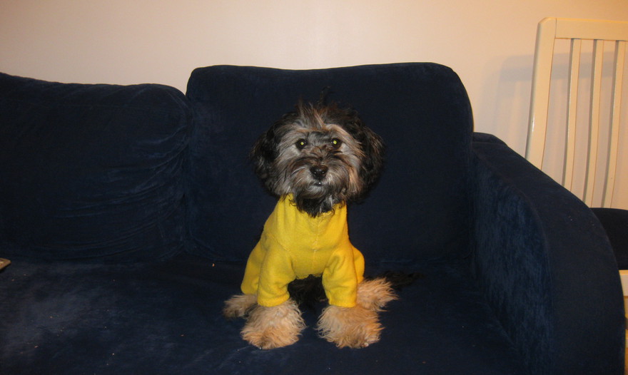 Суп из шпината с фасолью 