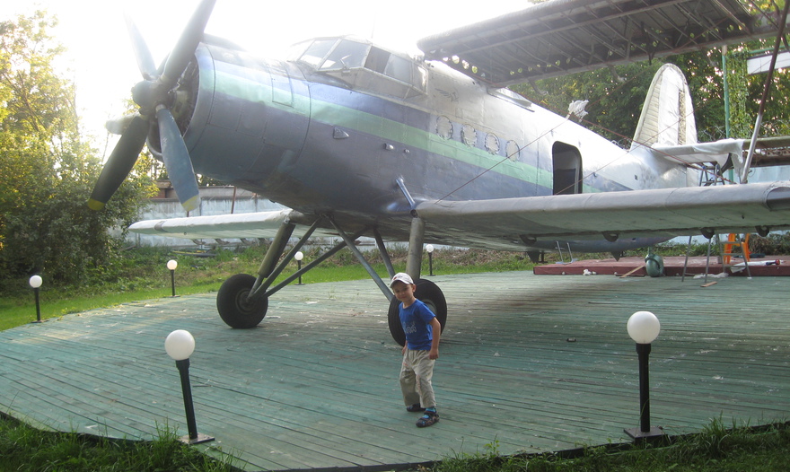 Картофельная соломка