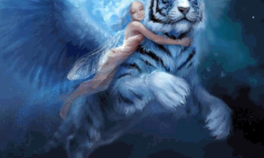 Бисквитные пирожные 