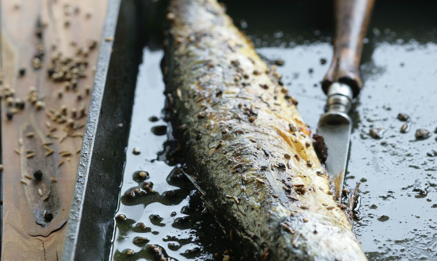 Фотография блюда пользователя