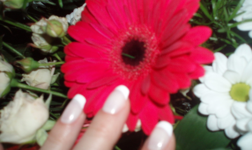 Салат из весенних овощей с ветчиной, перепелиными яйцами и домашним майонезом