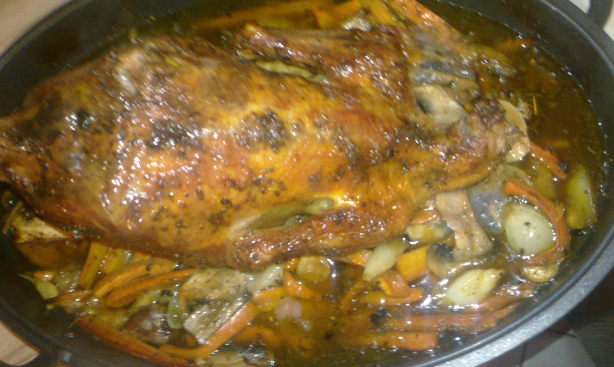 Петух в грибах