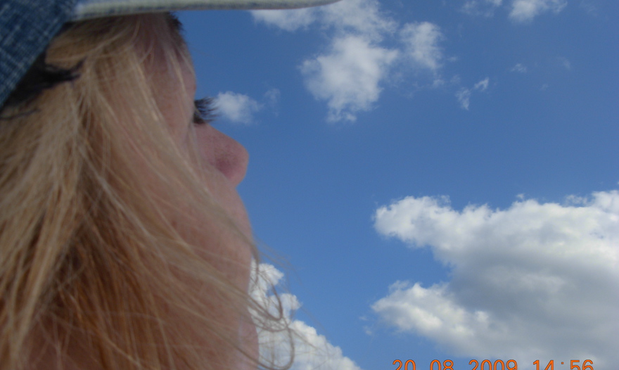 апельсиново-шоколадное печенье