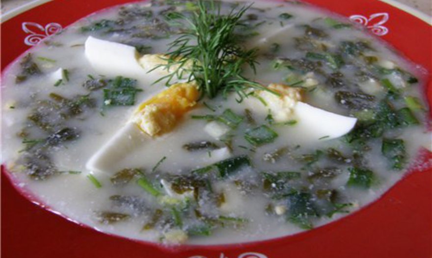 Холодник "Щавелевый"