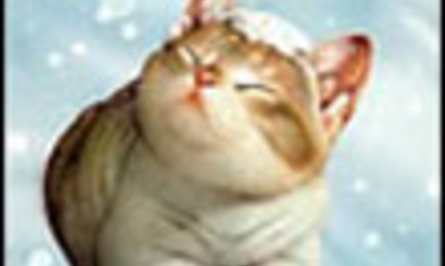 Куриный суп-крем