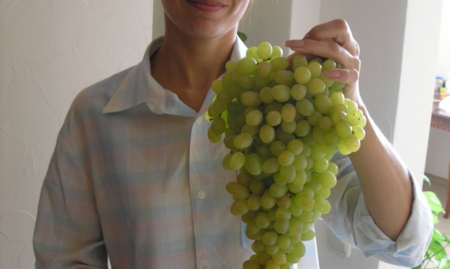 Картофельные крокеты