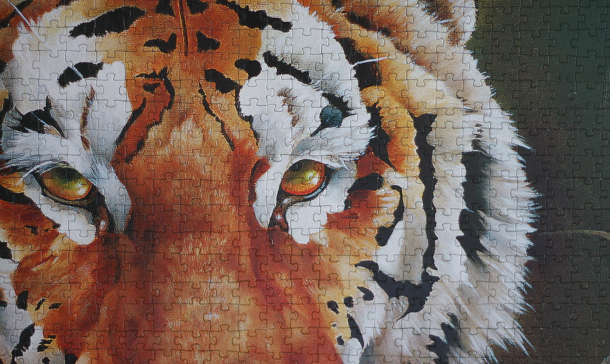 Флан из цветной капусты