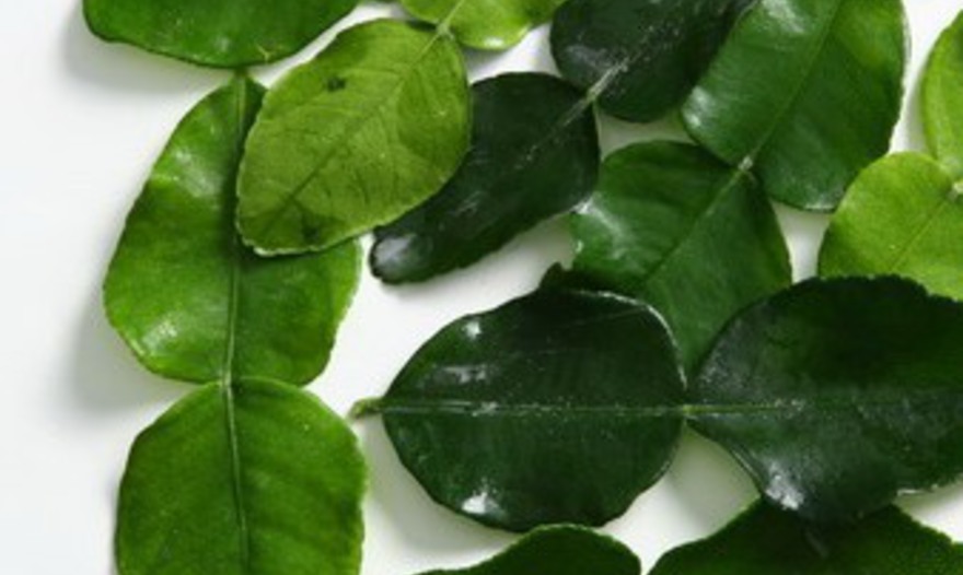 Рыба с лимонным сорго