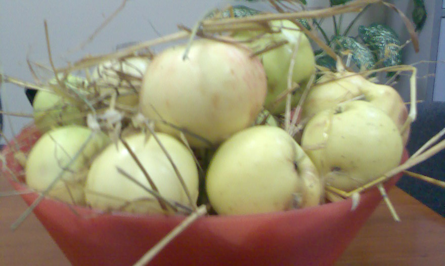 Рассольник питерский