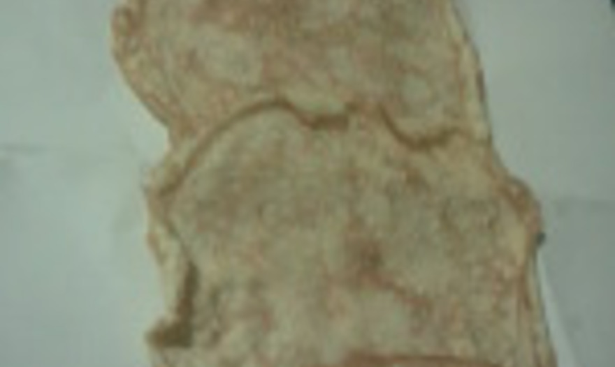 Курица в омлете