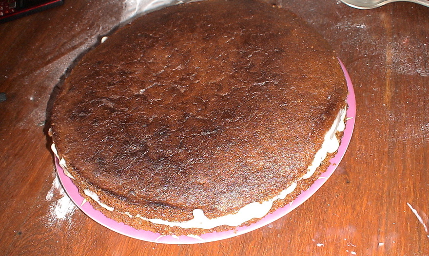 Торт "Трухлявый пенёк"