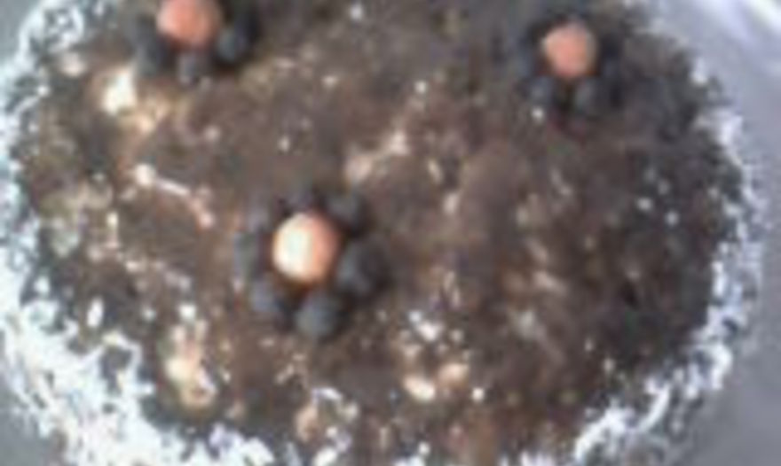 Торт "Любимый"