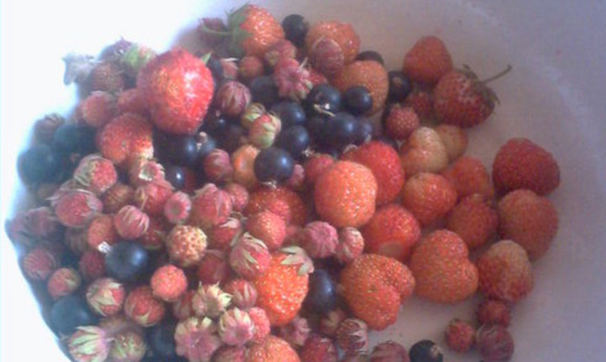 Коктейль "Наслаждение"