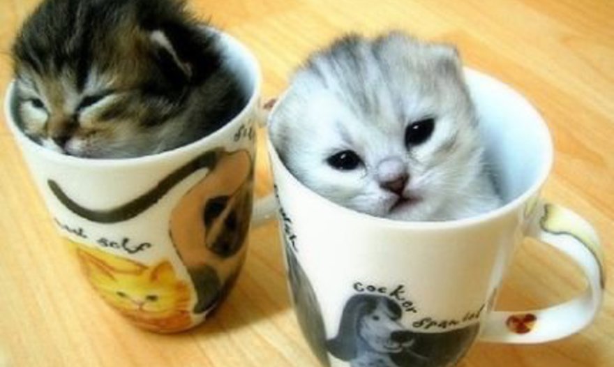 Кекс с ветчиной и сыром