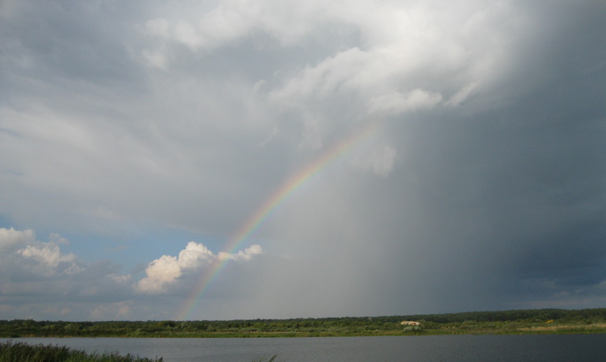 Сырные блинчики