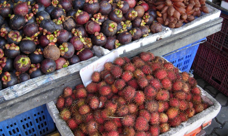 Котлеты из ледяной рыбы