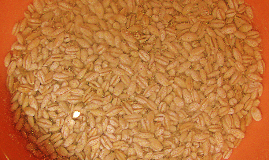 Рассольник с телятиной и сушеными грибами