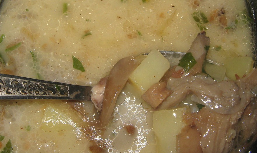 Фотография блюда пользователя