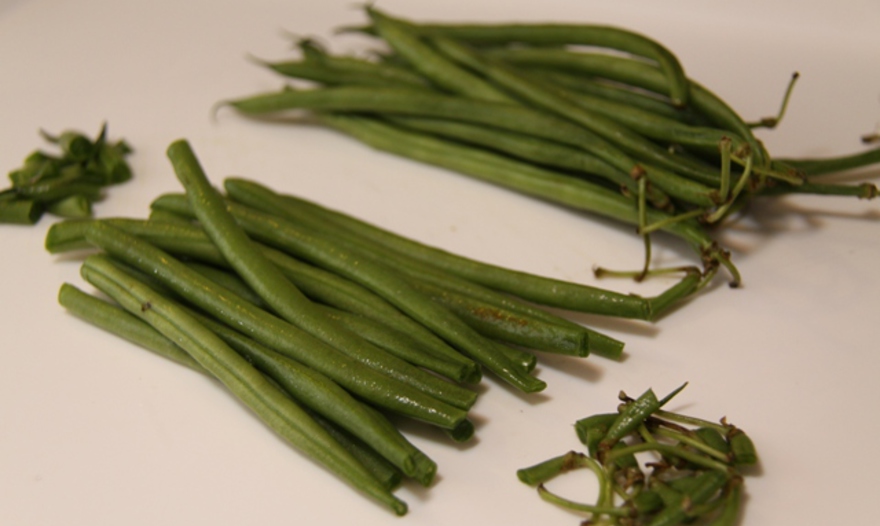 Зелёная фасоль с тахини и креветками