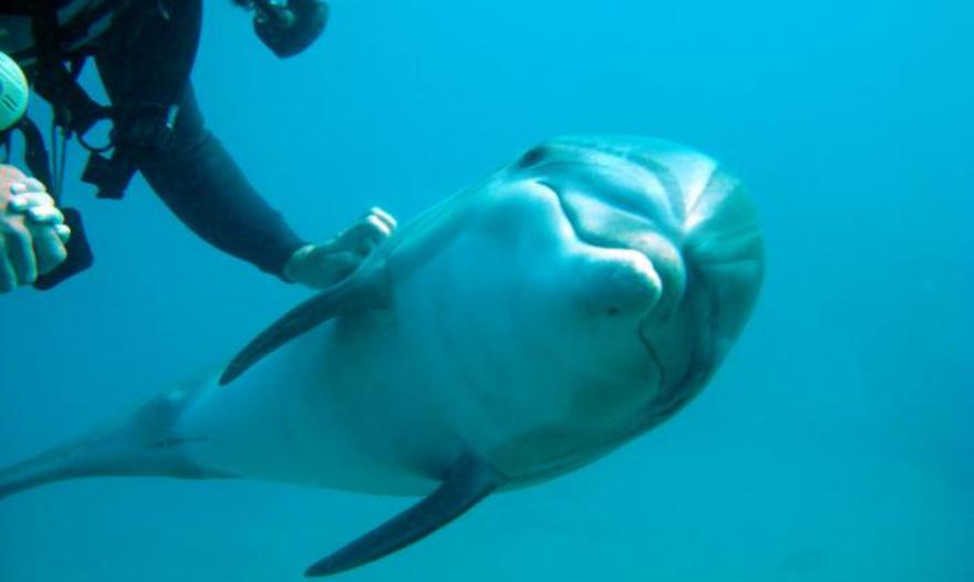 Кулич с миндалем и изюмом