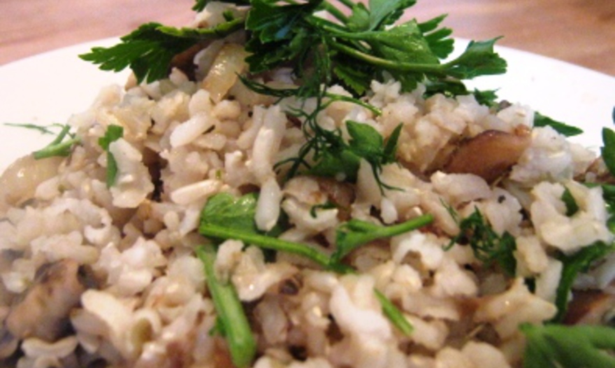 Фотография блюда пользователя