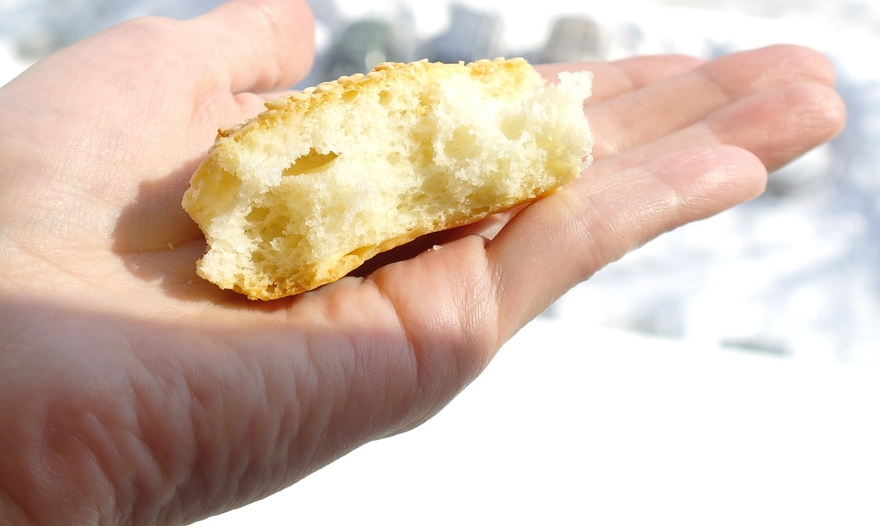 Фотография блюда пользователя