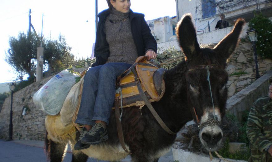 Мясные биточки "Танго втроём"