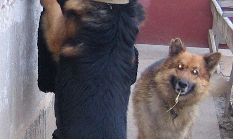 Фаршированные баклажаны с мясом