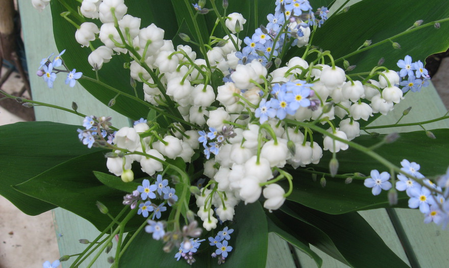 Постные чечевичные котлеты