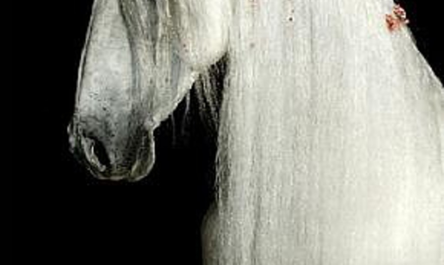 Торт  "Барби"