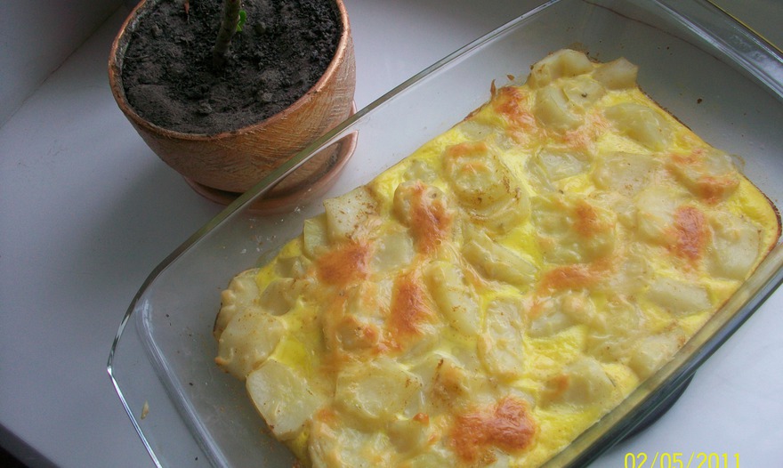 Фотография блюда пользователя