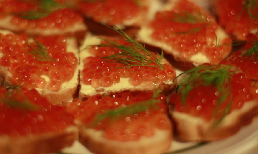 Сом " Лакомый кусочек"