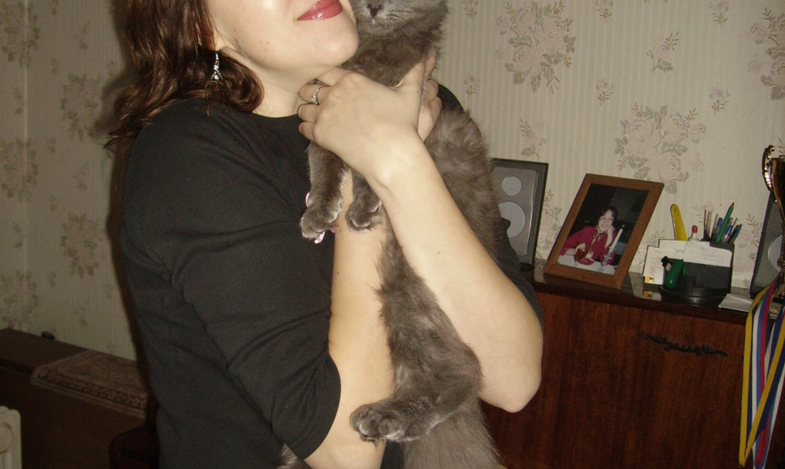 Салат из морепродуктов с овощами