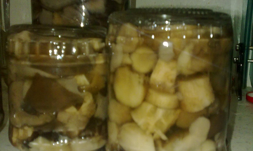 Маринованные грибочки