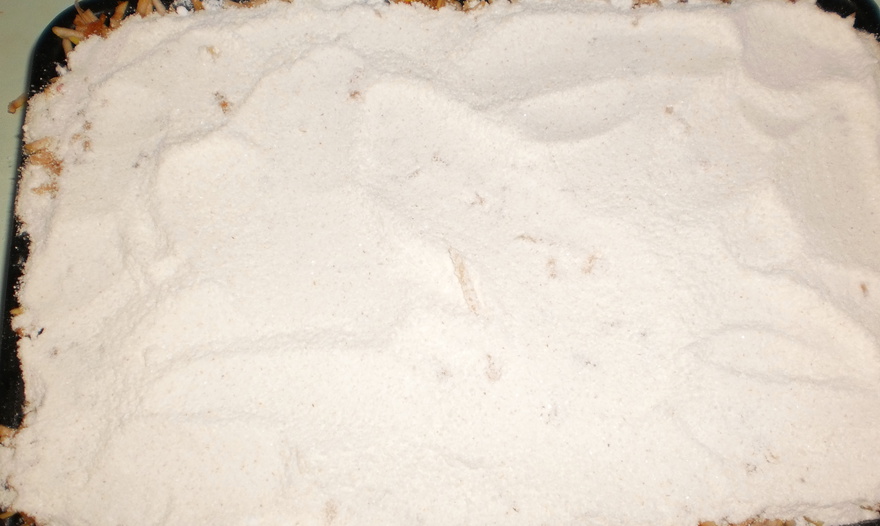 осенний поцелуй