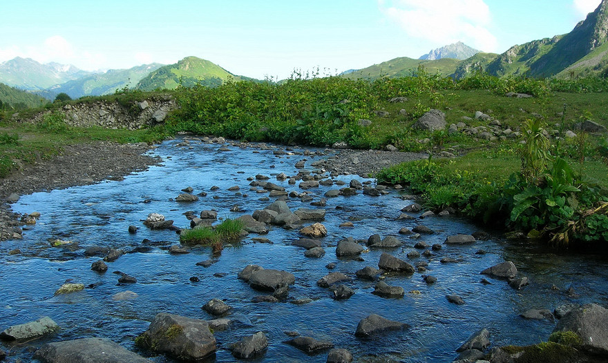 Рыба с соусом Шермула