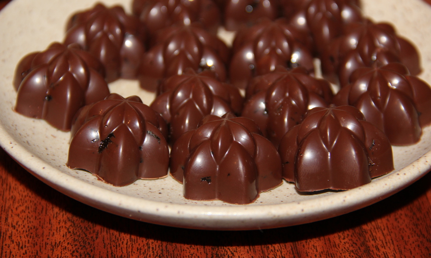 Шоколадные конфеты с фундуком, черносливом, медом и ликером