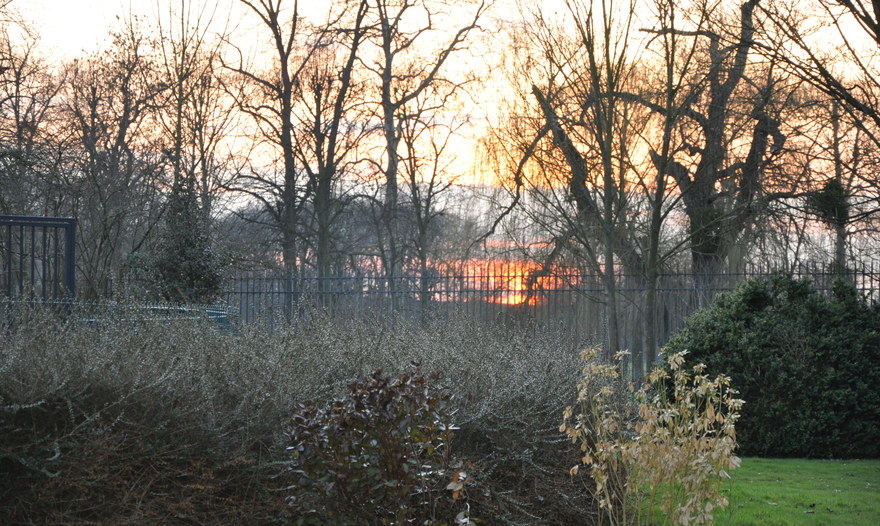 "Карп, которого раздуло"