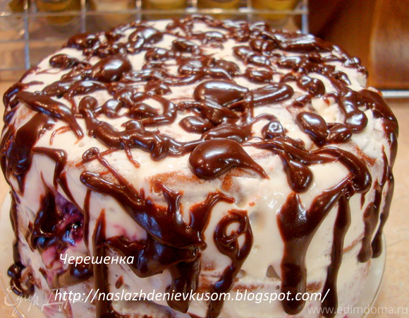 Шоколадный торт с творожно-йогуртовым кремом