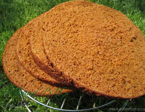 Медовый бисквит для торта рецепт с фото пошагово