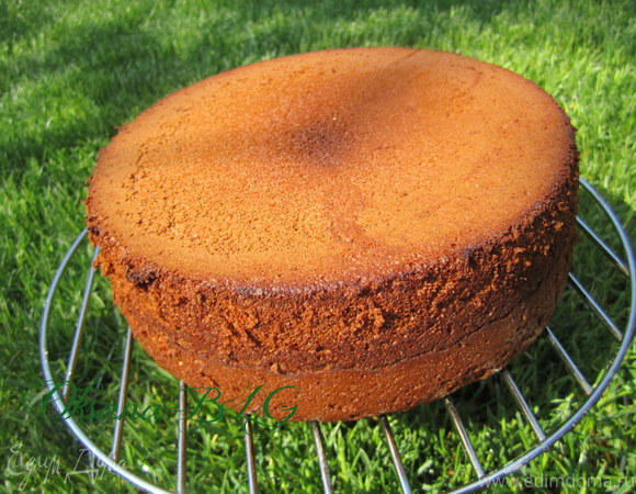Бисквитный шоколадный медовый торт рецепт с фото пошагово
