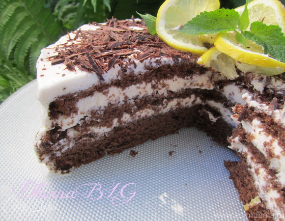 Торт "Воздушный, с шоколадно-лимонным вкусом"