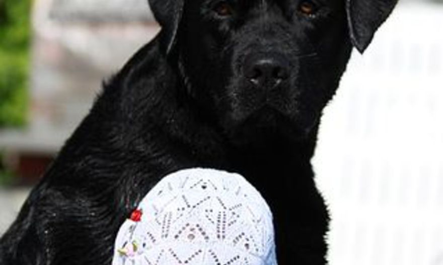 Оладушки из кабачков 