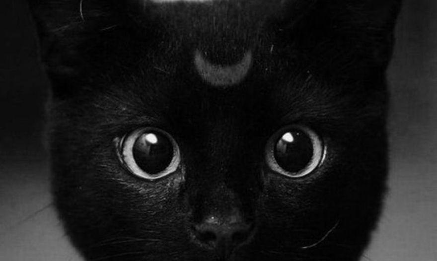 Сырный батон