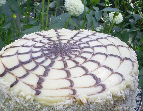 Медовый торт с кремом из сгущенки: ингредиенты и приготовление