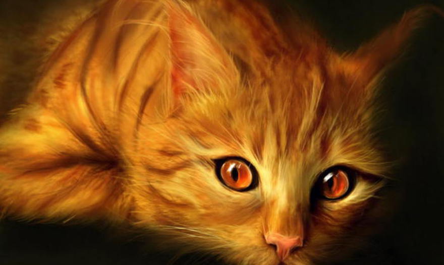 Детский десерт "Шоколадная тыква"